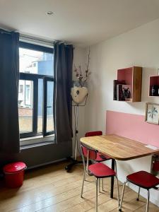 Cozy studio-city center