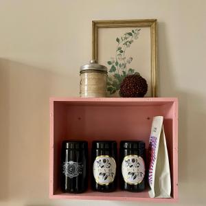 Cozy studio-city center