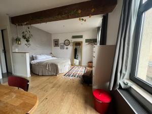 Cozy studio-city center