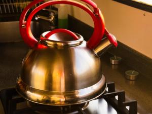 Old Willow Houseboats