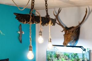 Hyggefarm between North Sea and Baltic Sea