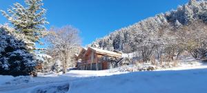 Apt 3 pièces 4 personnes 47m2 à 1min des pistes MOREL