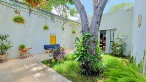 Casa María Eulalio - Boutique Guesthouse