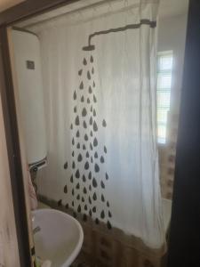 Family house with garden