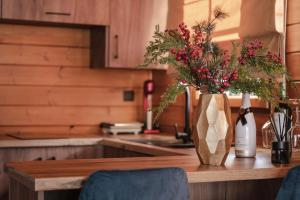 Cave Chalet - Chalet for Two