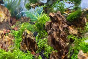 Hyggefarm between North Sea and Baltic Sea