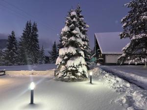 Domeniul CRIS Vatra Dornei