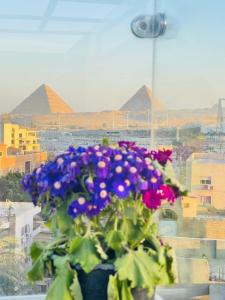 Jewel Museum & pyramids view