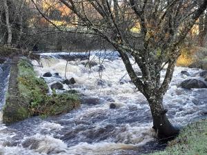 St Molings Well House and Gardens