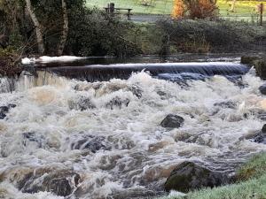 St Molings Well House and Gardens