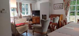 La Cuesta in the forest