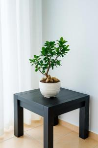 Stylish 1 Bed Self Catering Near OR Tambo