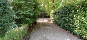 La Cuesta in the forest