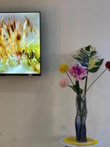 Arrabella Capetown Stay - Rooms Apartment & Studios