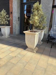 Magnifique loft haut de gamme avec grande terrasse zen et fontaine murale situé en plein centre-ville de Marrakech dans le cœur du quartier Gueliz à proximité des rues commerçantes et animées du Carré Eden et du Plaza Dépôt de garantie oblig