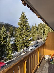 200 meters from the slopes