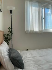 동대문중심,지하철1분,엘리베이터이용,3룸5배드,가족환영,30평넓은숙소, 뷰맛집