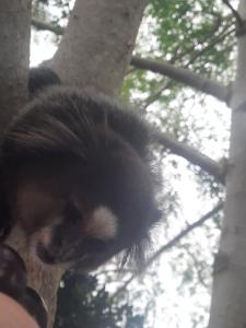 Casa do Sardinha - 1 Suite e 2 Quartos