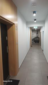 Luxus w Centrum Zielone Gory Palmiarnia, Deptak, Fokus