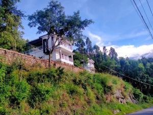 Amber Mount Resorts