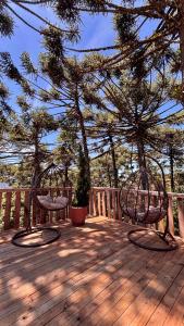 Encanto das Araucárias