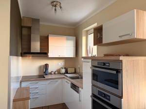 Brownie Prague Design Apartment