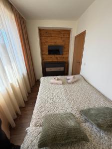 Bansko Royal Towers Ski Lift View