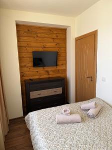 Bansko Royal Towers Ski Lift View