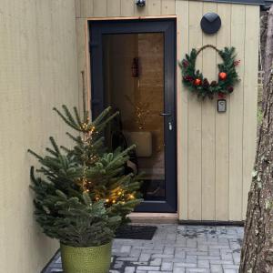 Tago Forest - Dune Apartments