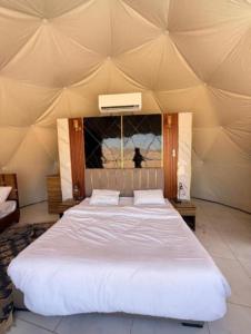 Rum Desert Life Bubble Experience