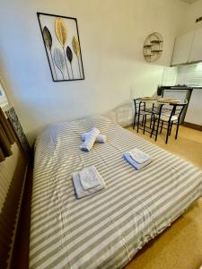 Hyper Centre de Valence - Studio 41