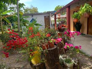 Casa jardín nueva gorgona