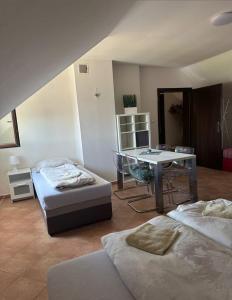 Vinný sklípek s ubytováním