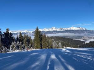 Studio JAVOR pod Tatrami