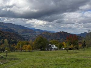Хата у Карпатах