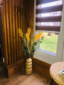 Faház a kilátónál Woodhouse Lux near Kőszeg 6km Szombathely 10km Bük 20km