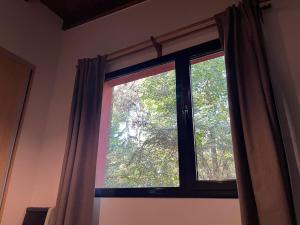 Bosque y Playa en casa