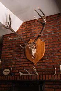 Estancia Quillen Lodge - Hosteria