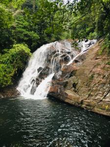 Thotupala Eco Lodge