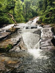 Thotupala Eco Lodge