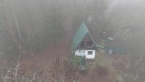 UNDER THE GREEN ROOF