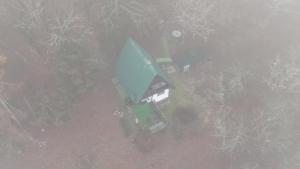 UNDER THE GREEN ROOF