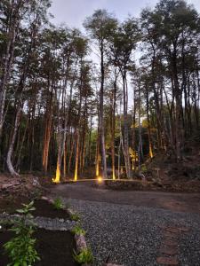 Casa en el Bosque, completa desconexión, Pucón