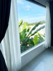 T-homestay Bình minh xanh