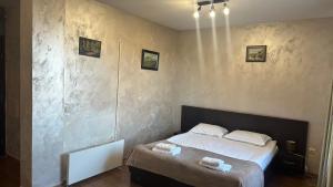 Eleonor Mountain Studio