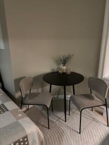 Newly Renovated Classic studio by Solli Plass