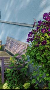 Ferienhaus VILLA ZAUBERBLICK am Rennsteig Frankenwald FREISTEHEND naturnah HUNDEFREUNDLICH eingezäunt