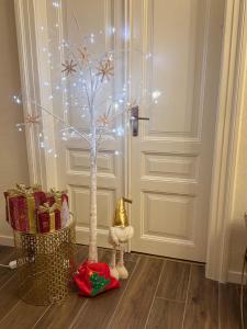 StaraGo Vienna Suite - Confort e stile nel cuore di Gorizia