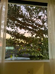 T-homestay Bình minh xanh