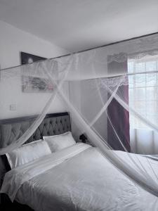 Luxurious Private room, Nairobi